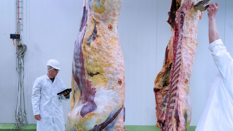 Fotodokumentation-Header