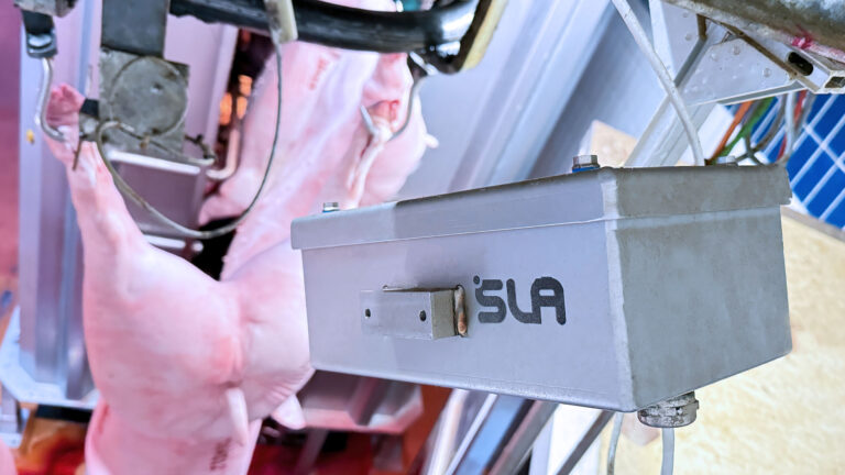 Geschlechterkennung-header