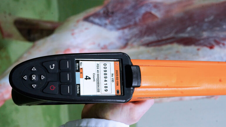 RFID-Ohrmarkenerkennung-header