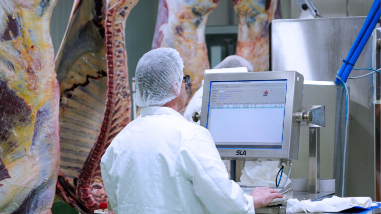 Rinderklassifizierung-Header