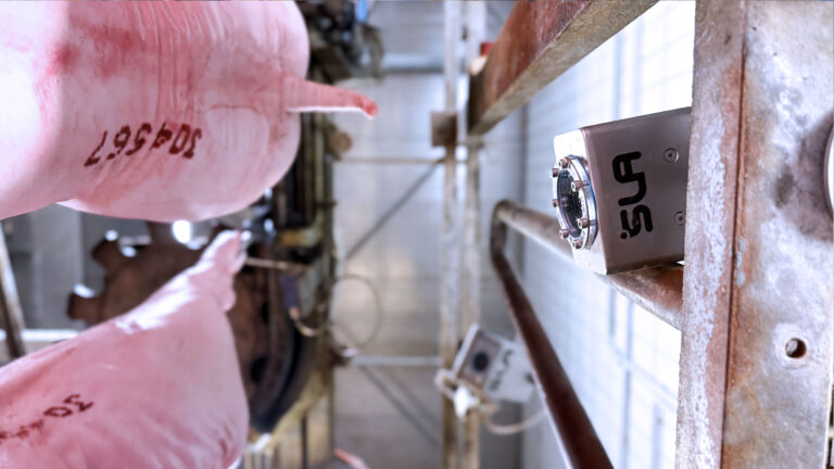 Schlachtnummererkennung-Header