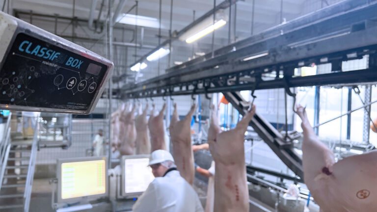 Schwanzerkennung-Header