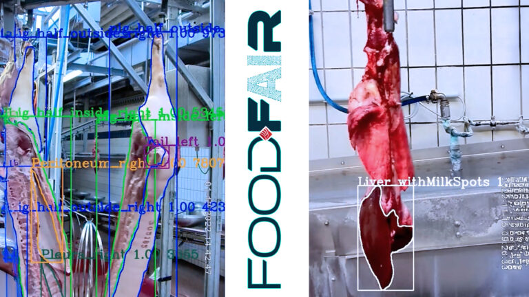 Organbefundung-Header